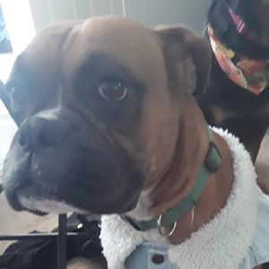 Meet your Posher, Ken